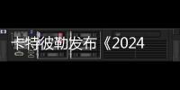 快排公司十年历程，霸屏兔 seo 的崛起与坚守