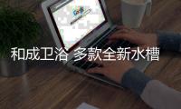 快排公司十年历程，霸屏兔 seo 的崛起与坚守